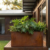 A Rectangle Taper Planter with lush green tropical plants sits on a wooden deck beside a modern house. Various sizes available.