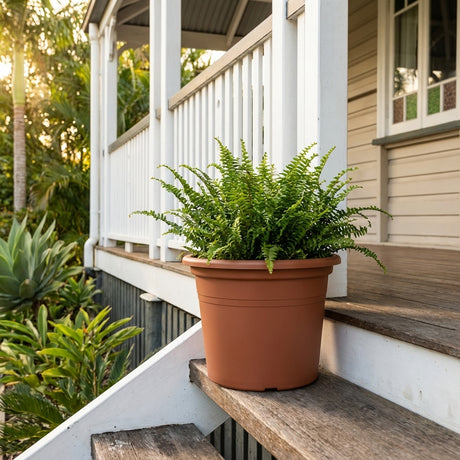 A potted fern sits in a lightweight red Cylinda planter on wooden steps outside a porch with white railing and green plants in the background.