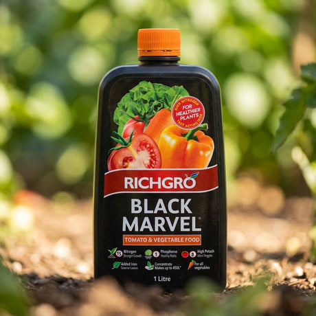 A bottle of Richgro 1L Black Marvel Tomato and Vegetable Food Liquid Fertiliser Concentrate sits on soil, surrounded by green garden plants, ready to boost healthy plant growth.