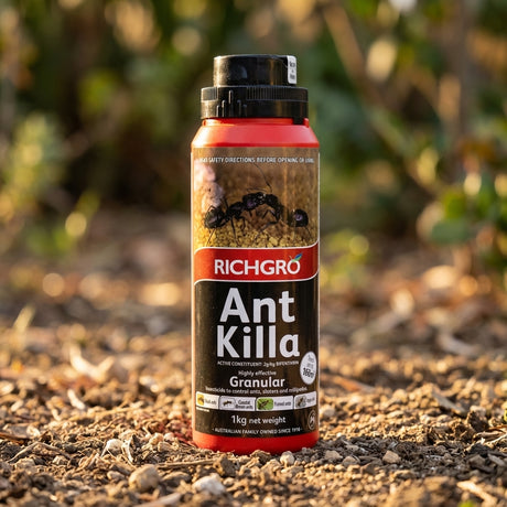 A 1kg bottle of Richgro Ant Killa Insecticide Granules placed on outdoor soil with blurred plants in the background.