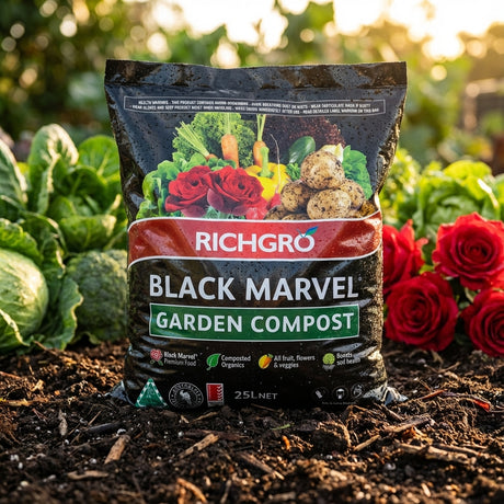 A bag of Richgro 25L Black Marvel Garden Compost is placed on soil among leafy greens and red roses, enriching the soil for healthy plant growth.