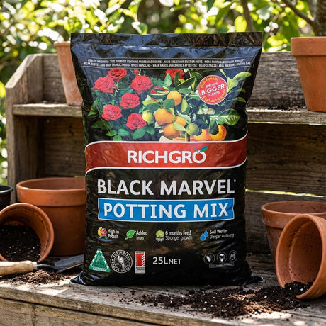 A 25L bag of Richgro Black Marvel Potting Mix sits on a wooden bench, surrounded by empty terracotta pots.