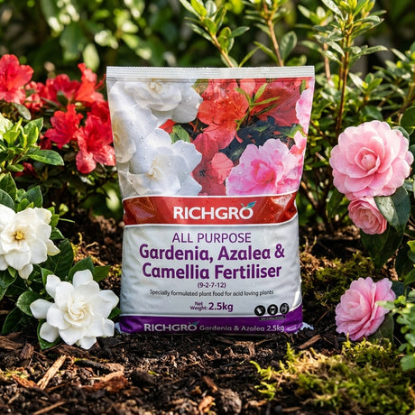 A 2.5kg bag of Richgro All Purpose Gardenia, Azalea and Camellia Fertiliser is set among blooming flowers in a garden, ideal for feeding your acid-loving plants.