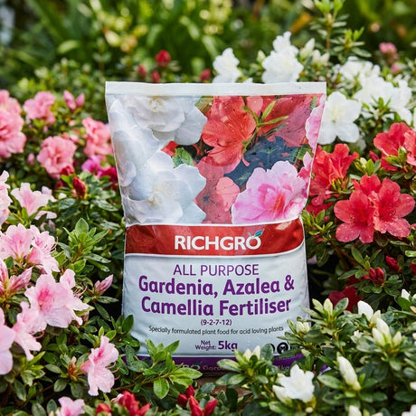 A bag of Richgro 5kg All Purpose Gardenia Azalea and Camellia Fertiliser is placed among blooming azaleas and camellias in a colorful garden.
