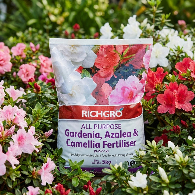 A bag of Richgro 5kg All Purpose Gardenia Azalea and Camellia Fertiliser is placed among blooming azaleas and camellias in a colorful garden.