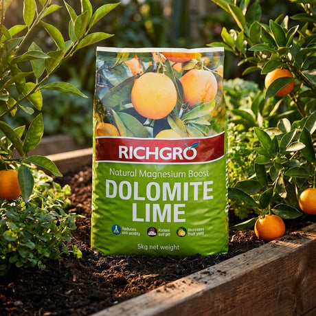 A 5kg bag of Richgro Natural Dolomite Lime sits in a sunlit garden bed by orange trees, ready to reduce soil acidity and improve soil health.