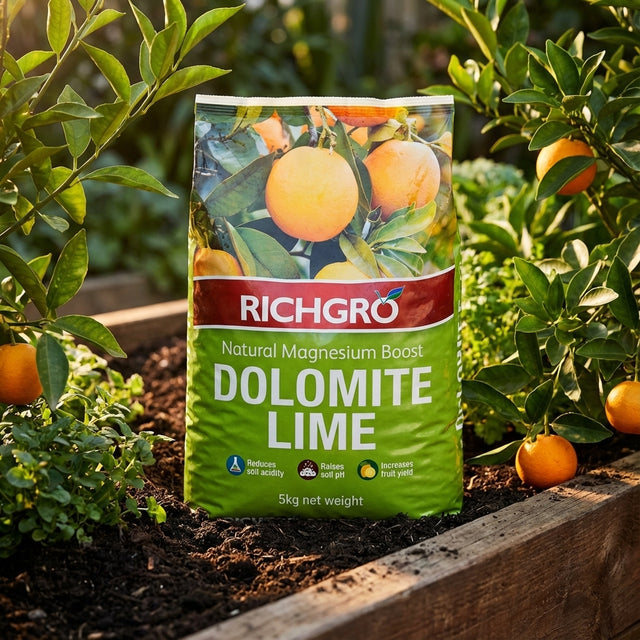 A 5kg bag of Richgro Natural Dolomite Lime sits in a sunlit garden bed by orange trees, ready to reduce soil acidity and improve soil health.