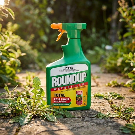 A 1L Roundup Total Weedkiller Ready To Use Sprayer sits on a stone path, offering convenient and effective weed control.