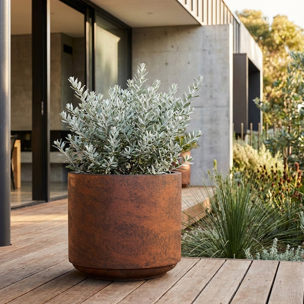 A potted plant rests on a wooden deck outside a modern house with large glass doors, displayed in the Rust Harper Drum Planter, available in various sizes and ideal for contemporary, outdoor spaces.