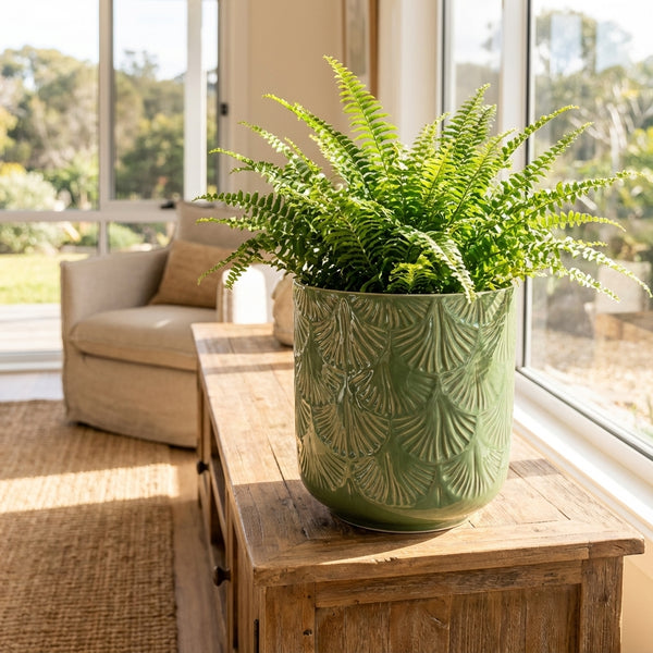 sage green indoor plant pot Sage Green Palm Indoor Plant Pot - Various sizes available
