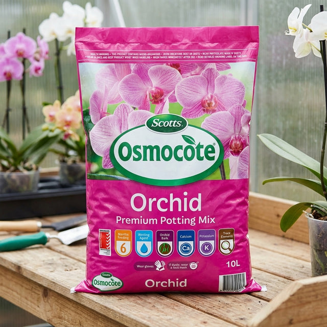 A bag of Scotts Osmocote 10L Orchid Premium Potting Mix with controlled release fertiliser sits on a table in a greenhouse, surrounded by orchids and gardening tools.