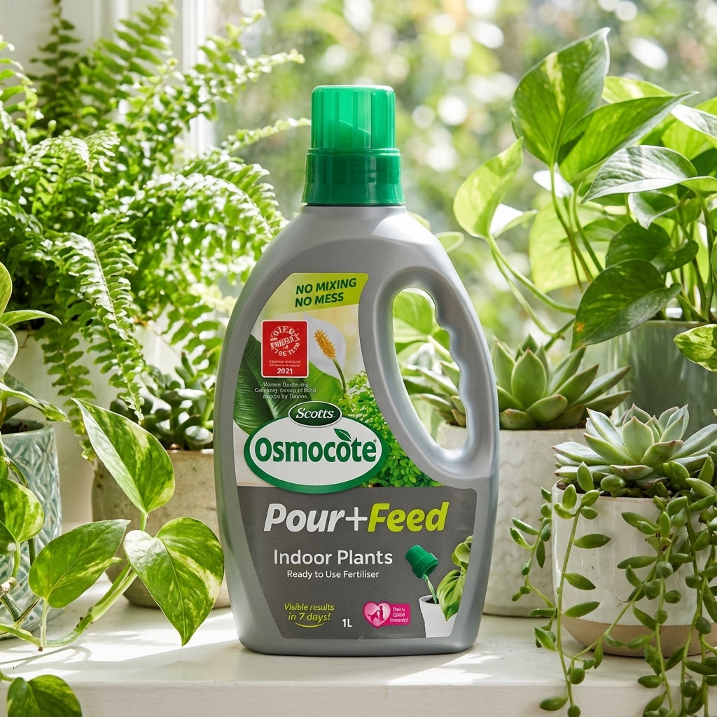 A bottle of Scotts Osmocote 1L Pour+Feed Indoor Plants fertiliser sits on a sunny windowsill, nourishing vibrant indoor plants with this convenient, ready-to-use liquid feed.