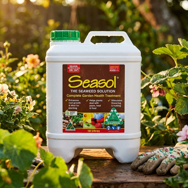 seasol indoor potting mix Seasol 10L Seaweed Concentrate