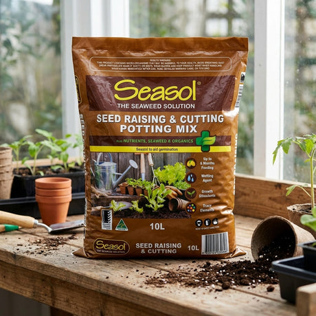 A bag of Seasol 10L Seed Raising And Cutting Potting Mix sits on a wooden table, surrounded by garden tools and potted plants.