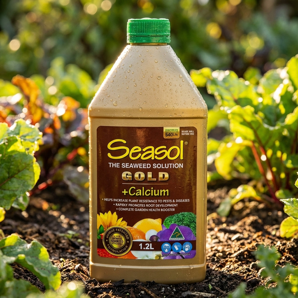 A bottle of Seasol 1.2L Gold Concentrated Liquid Health Tonic sits in a garden bed among green plants, ready to boost plant health.