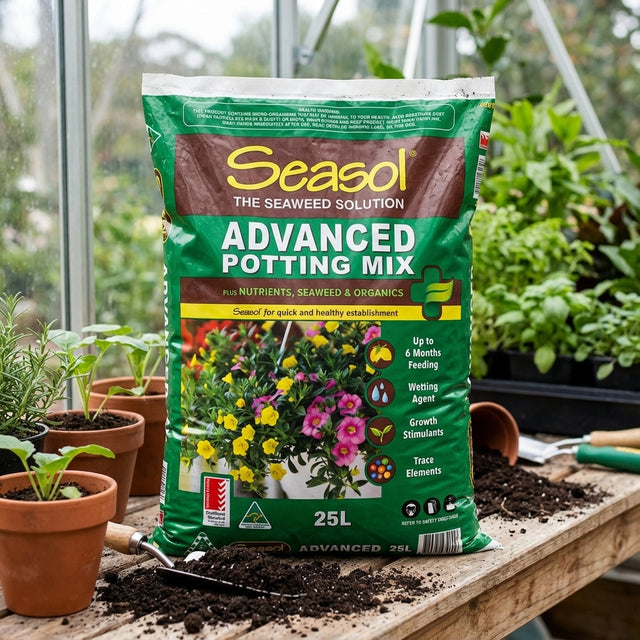A 25L bag of Seasol 25L Advanced Potting Mix with slow-release nutrients is on a potting bench next to potted plants and gardening tools.