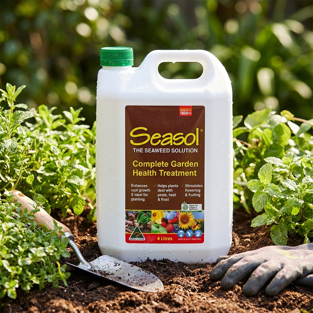 A bottle of Seasol 4L Seaweed Health Tonic Concentrate rests on soil next to gloves, a trowel, and green plants—an ideal health booster to nurture your garden.