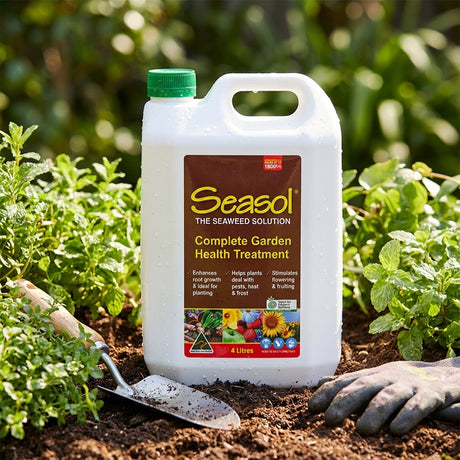 A bottle of Seasol 4L Seaweed Health Tonic Concentrate rests on soil next to gloves, a trowel, and green plants—an ideal health booster to nurture your garden.