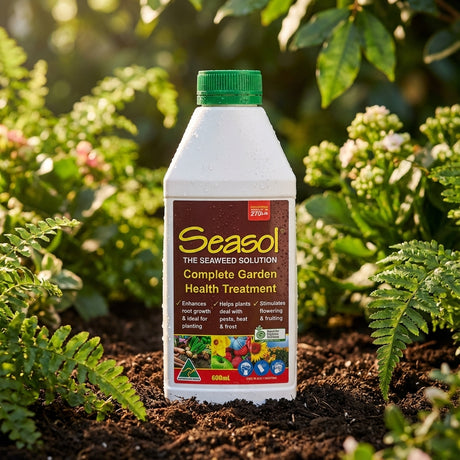 A bottle of Seasol 600mL Concentrate sits on soil among green plants in a garden, ready to boost plant health.