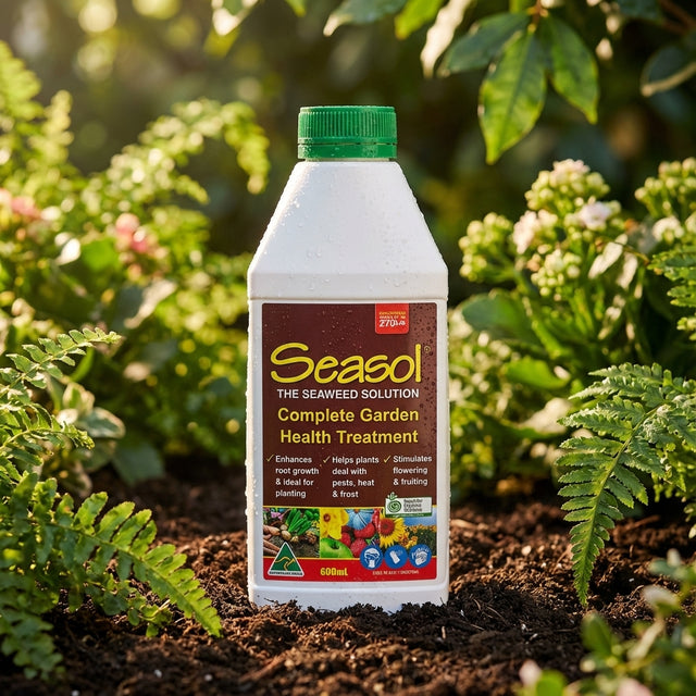 A bottle of Seasol 600mL Concentrate sits on soil among green plants in a garden, ready to boost plant health.