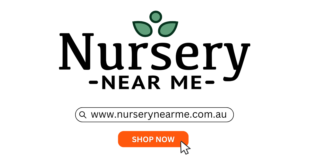 Plant Delivery Australia | Regions We Deliver To | Nursery Near Me