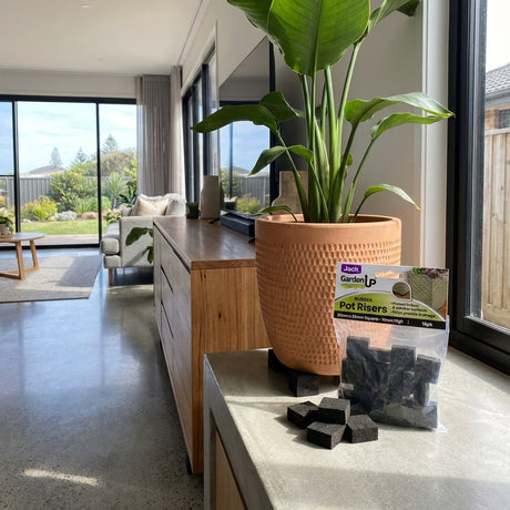 A potted plant sits on a counter beside a pack of 16 Square Rubber Pot Risers in a bright, modern living room with garden views—ideal for improving drainage and protecting surfaces.