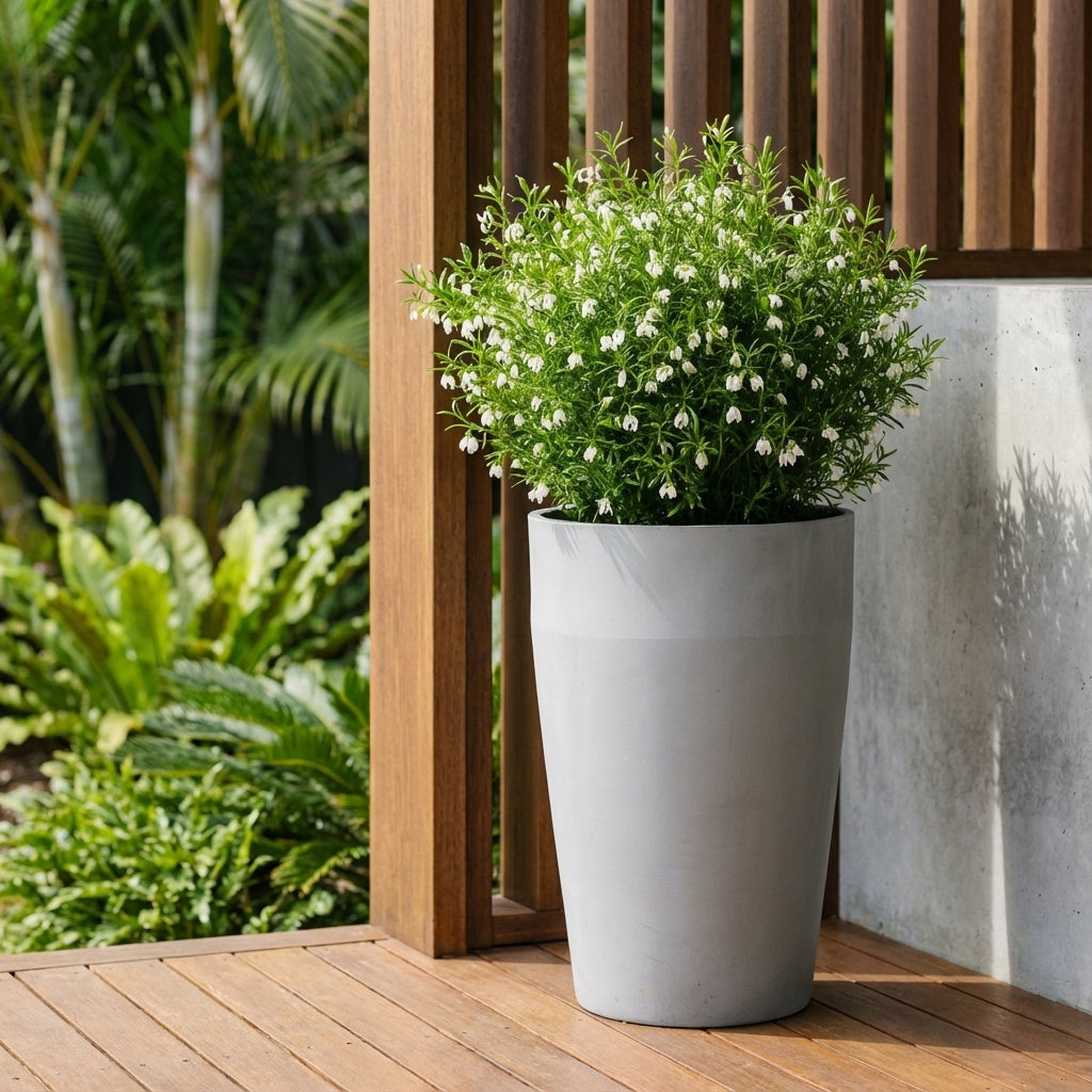 A green shrub with small white flowers in a Tall Cylinder Planter Grey (various sizes) on a wooden deck, bringing fresh style to your space.