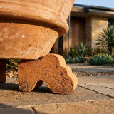 Close-up of a terracotta plant pot outdoors, elevated by Terracotta Italian Pot Feet (various sizes available) on a stone patio to improve drainage.