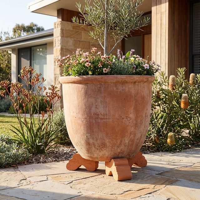A large flower-filled terracotta pot with a small tree is elevated on Terracotta Italian Pot Feet (various sizes) to enhance drainage, and set on a stone patio in the garden.