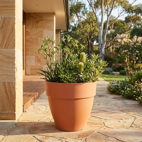 The Terracotta Outdoor Plant Pot (various sizes available) sits on a stone patio by a house, filled with green plants and surrounded by a garden with trees.