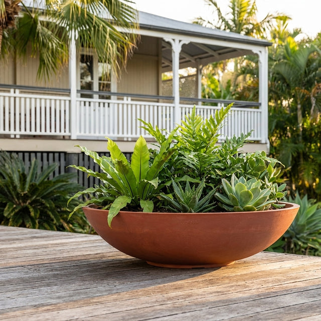 A Terracotta Tapered Low Bowl Planter (available in various sizes) filled with assorted succulents sits on a wooden deck, backed by a house and palm trees.