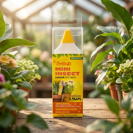 A box of The Buzz Mini Insect Indoor Pot Traps - 5 Pack rests on a wooden table among potted plants in a greenhouse, offering discreet pest control for indoor plants.