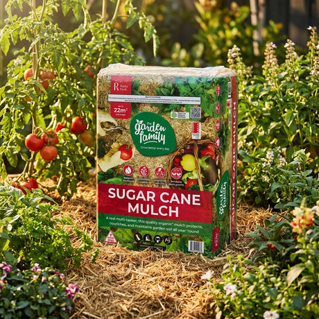 A bag of sugar cane mulch sits among tomatoes and other plants in a sunlit garden, complemented by Scotts Osmocote 25L Premium Plus Superior Potting Mix for advanced moisture retention.