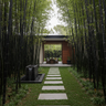 Timor Black Bamboo