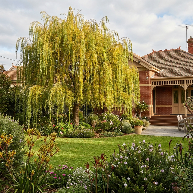 A lush backyard garden featuring a majestic Weeping Willow (Salix babylonica), a vibrant green lawn, and a brick house with a charming veranda.