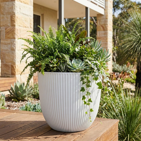 The White Armour Self Watering Egg Pot, available in various sizes, is displayed outdoors on a wooden table filled with assorted green succulents and ferns.