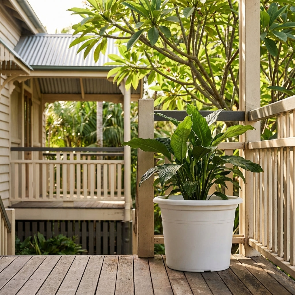 A potted plant in the White Cylinda Planter (various sizes available) sits on a wooden porch with railings and lush greenery in the background.