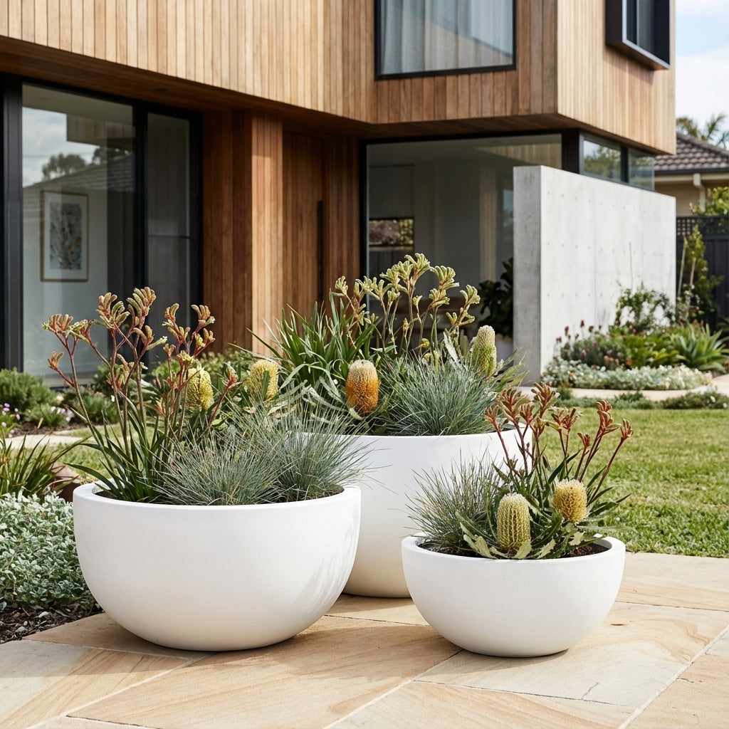Three native plants in White Harper Bowls—available in various sizes—are arranged on a stone patio outside a modern wooden house.