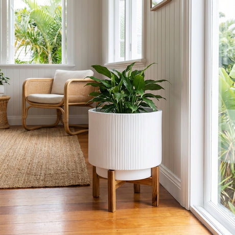 A White Indoor Ceramic Pot With Stand (340mm x 430mm) sits by a large window, adding charm to this bright, cozy living room.