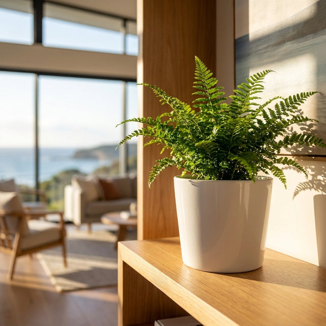A White Indoor Glazed Cache Pot with a potted fern sits on a wooden shelf in a bright living room with large windows and an ocean view. Various sizes available.