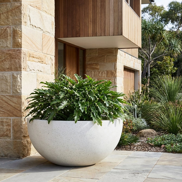 The White Terrazzo Omni Bowl, available in various sizes, is a lightweight fibrecement planter perfect for adding style and versatility to any indoor or outdoor space. Ideal for showcasing green leafy plants on patios or modern settings.