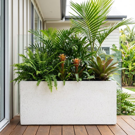 White Terrazzo Trough (various sizes available) with ferns, palms, and bromeliads placed on a wooden deck outside a modern house.