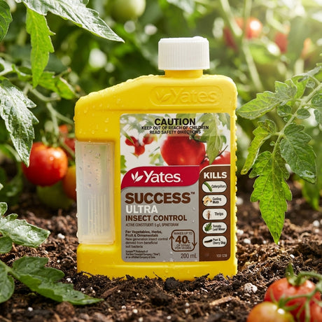 A 200ml bottle of Yates Success Ultra Insect Control, a trusted solution for leaf-eating pests, is placed among ripe red tomatoes in a lively garden.