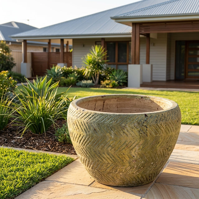Atlantis Button Planter - Various sizes available