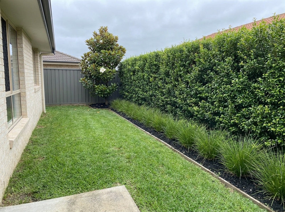 The same garden at two to three years, designed from the customer photo