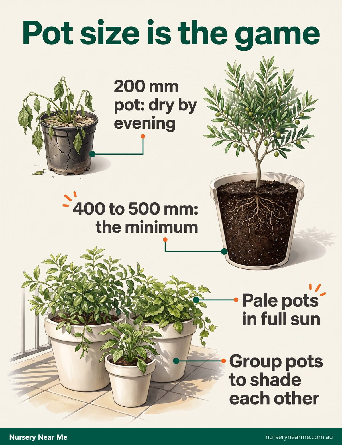 Diagram comparing a 200 mm pot that dries out fast with a 500 mm pale pot and a shaded group of pots
