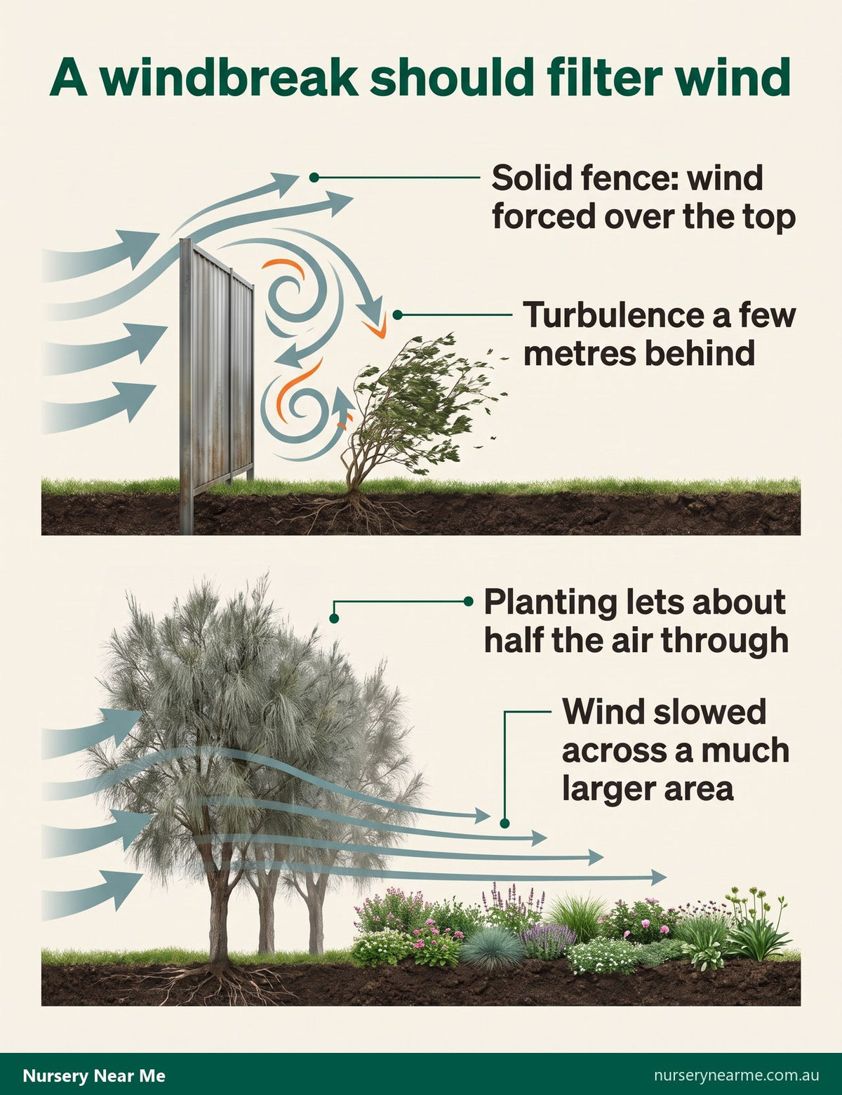 Diagram comparing wind over a solid fence with wind filtered through a casuarina windbreak
