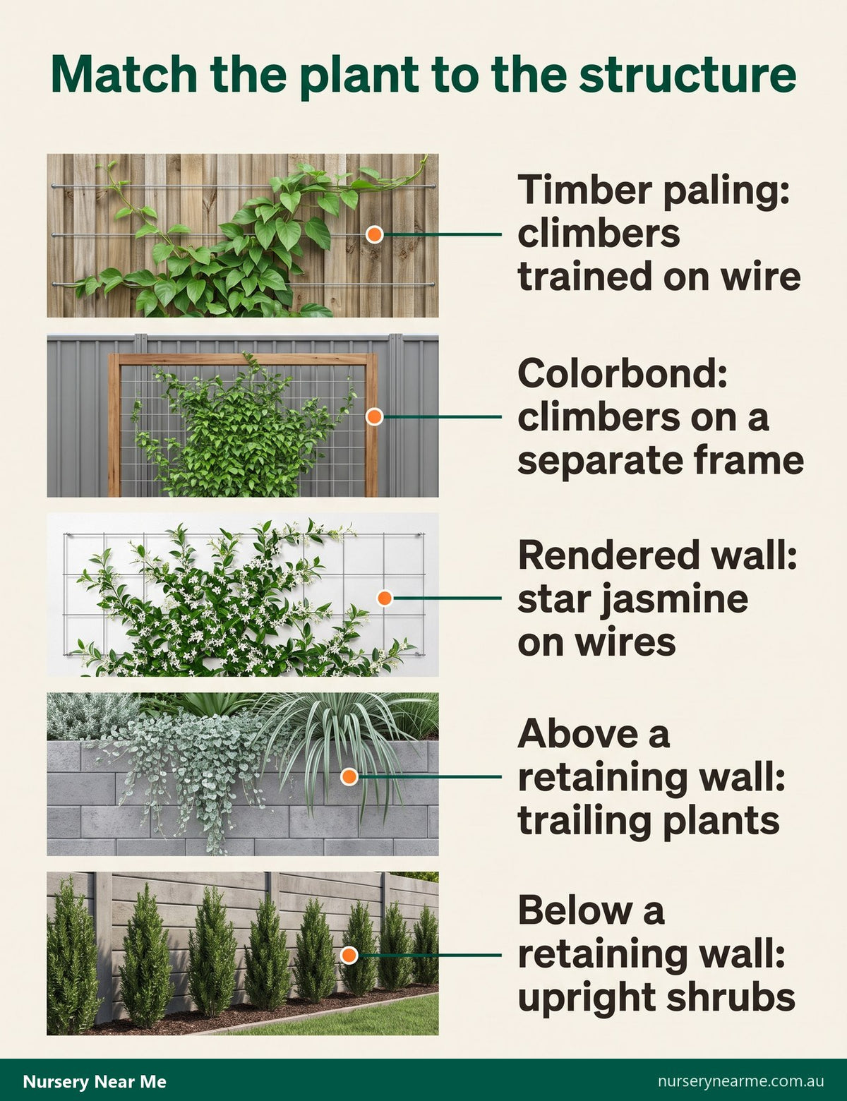 Diagram matching plants to five structures: timber fence, Colorbond fence, rendered wall, above and below a retaining wall