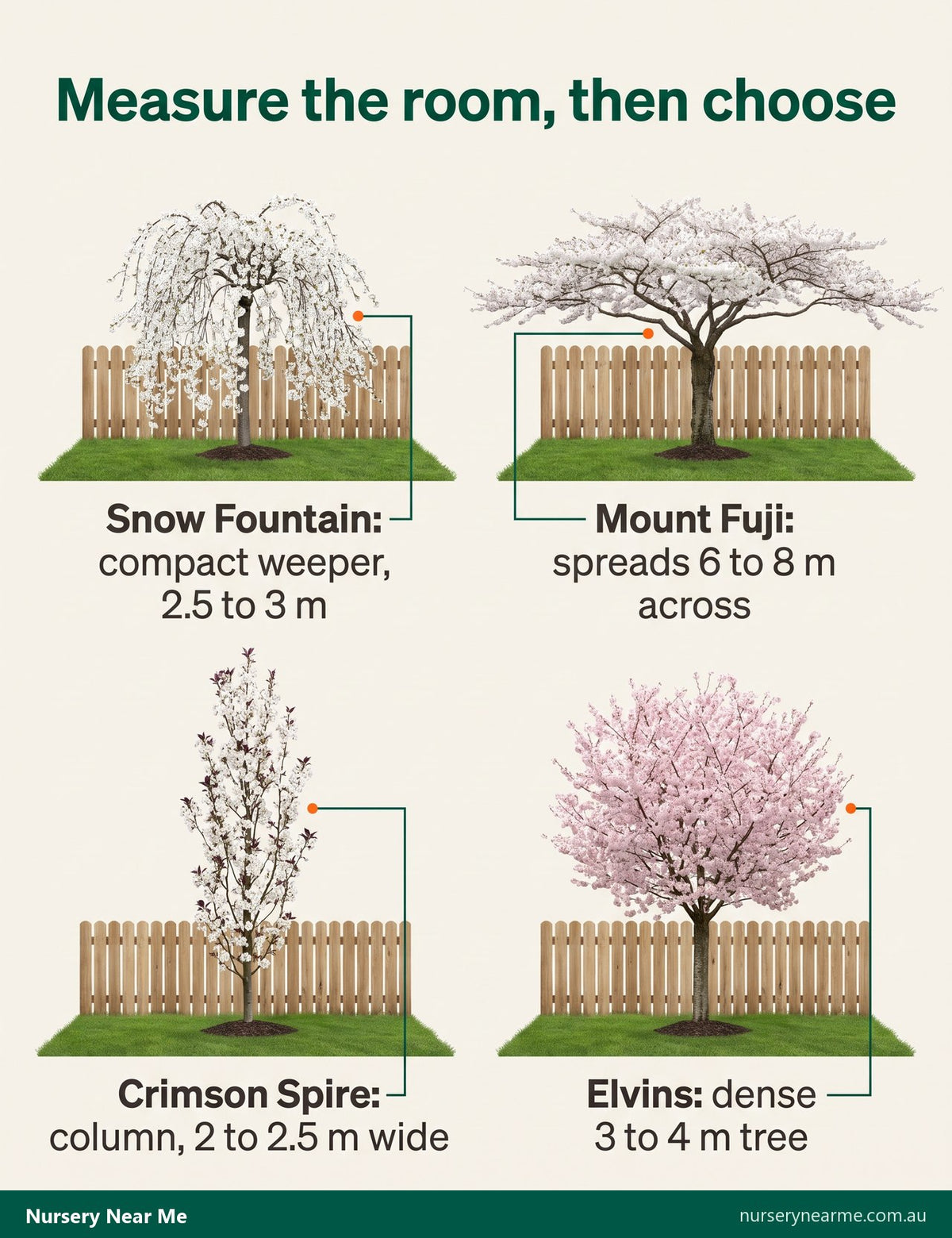 Diagram of four flowering cherry and plum shapes: weeping, wide spreading, narrow column and small rounded