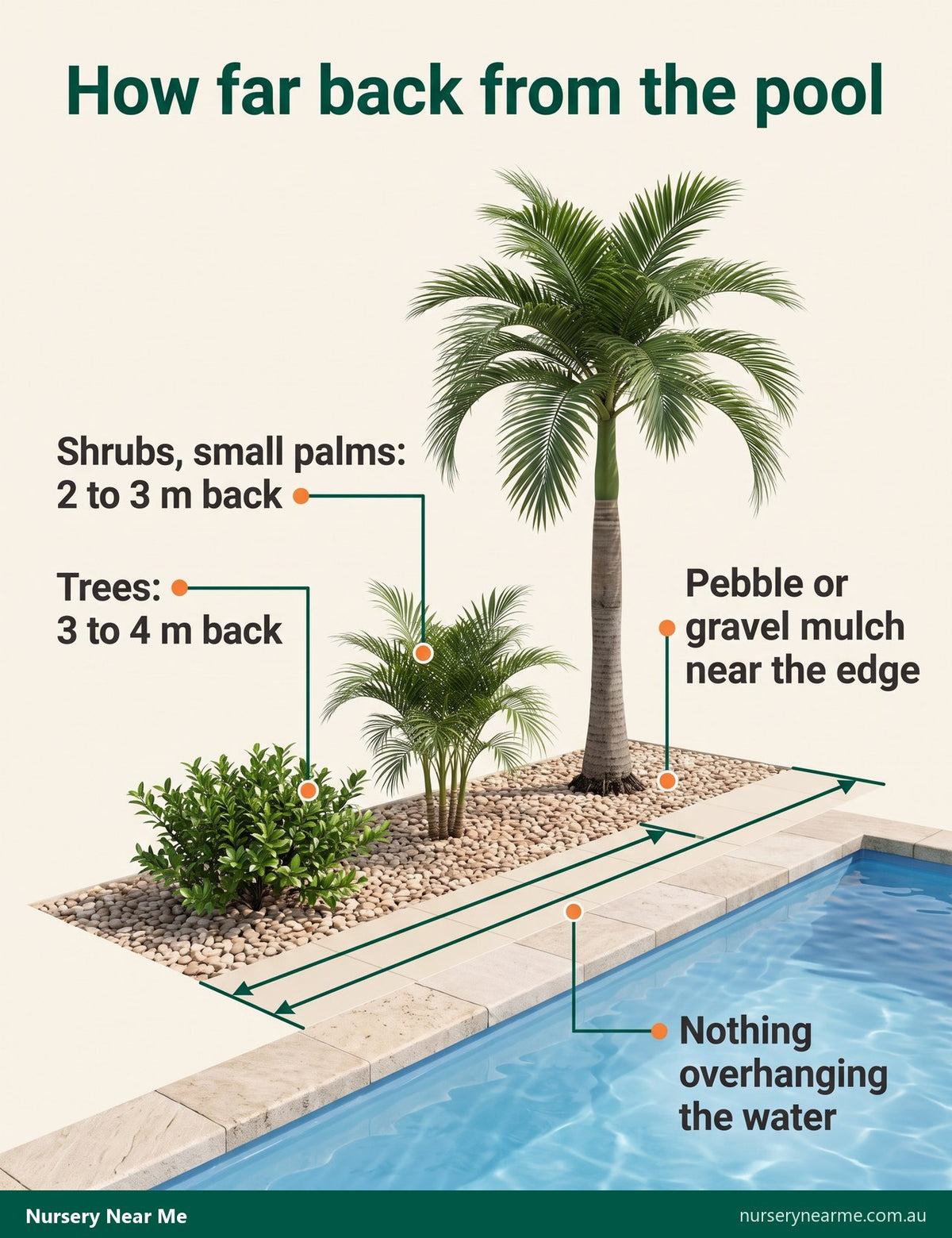 Diagram of poolside planting setbacks: shrubs and small palms 2 to 3 m back, trees 3 to 4 m, pebble mulch